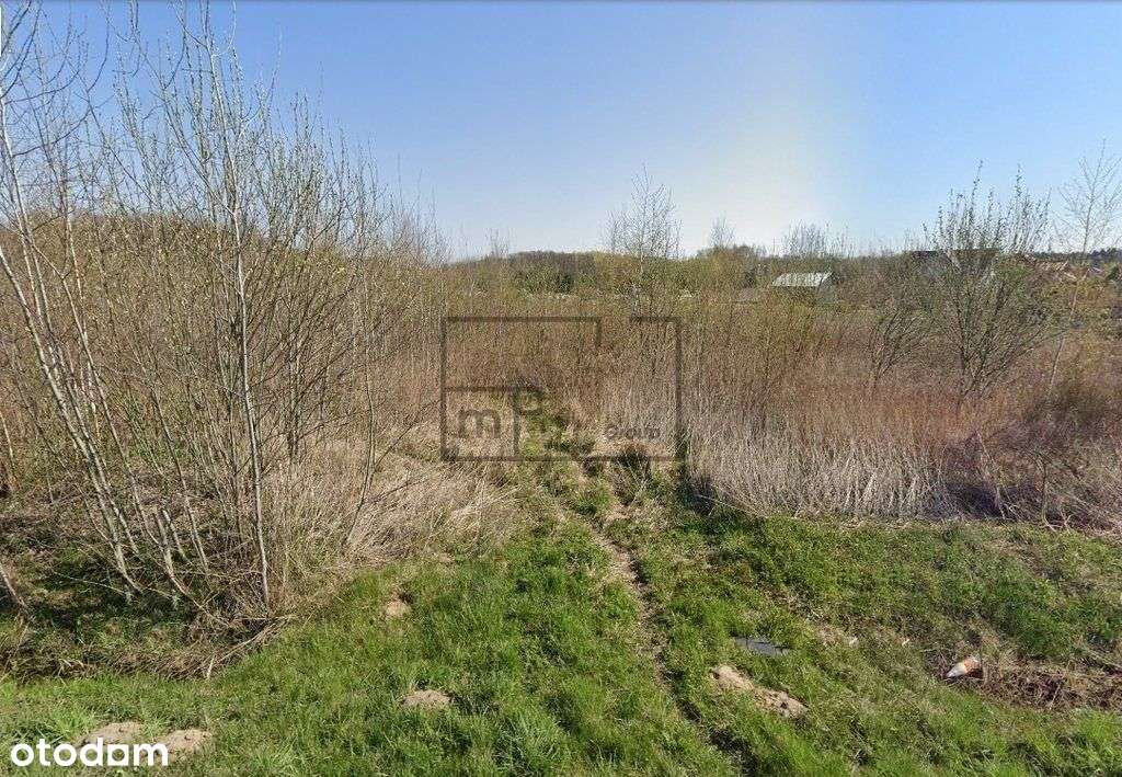 Działka, 8 896 m², Krupia Wólka - Pełny obrazek: 5/5