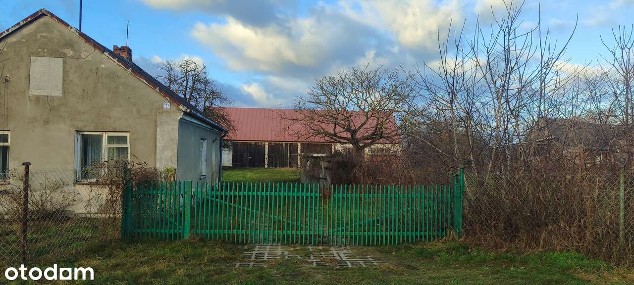 NIERUCHOMOŚĆ INWESTYCYJNA – 3,3 HA – MOŻLIWOŚĆ OSIEDLA 15–20 DZIAŁEK - Pełny obrazek: 3/13