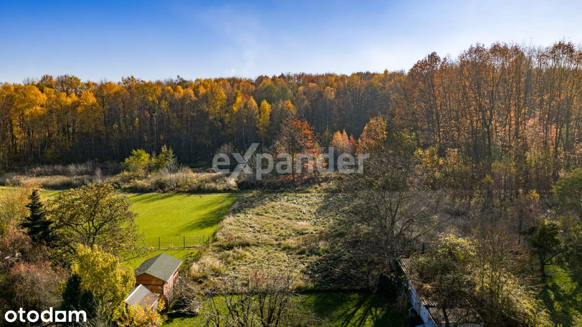 ul.. Jaśminowa/Brzozowa-granica Mikołowa i ŁaziskG-11