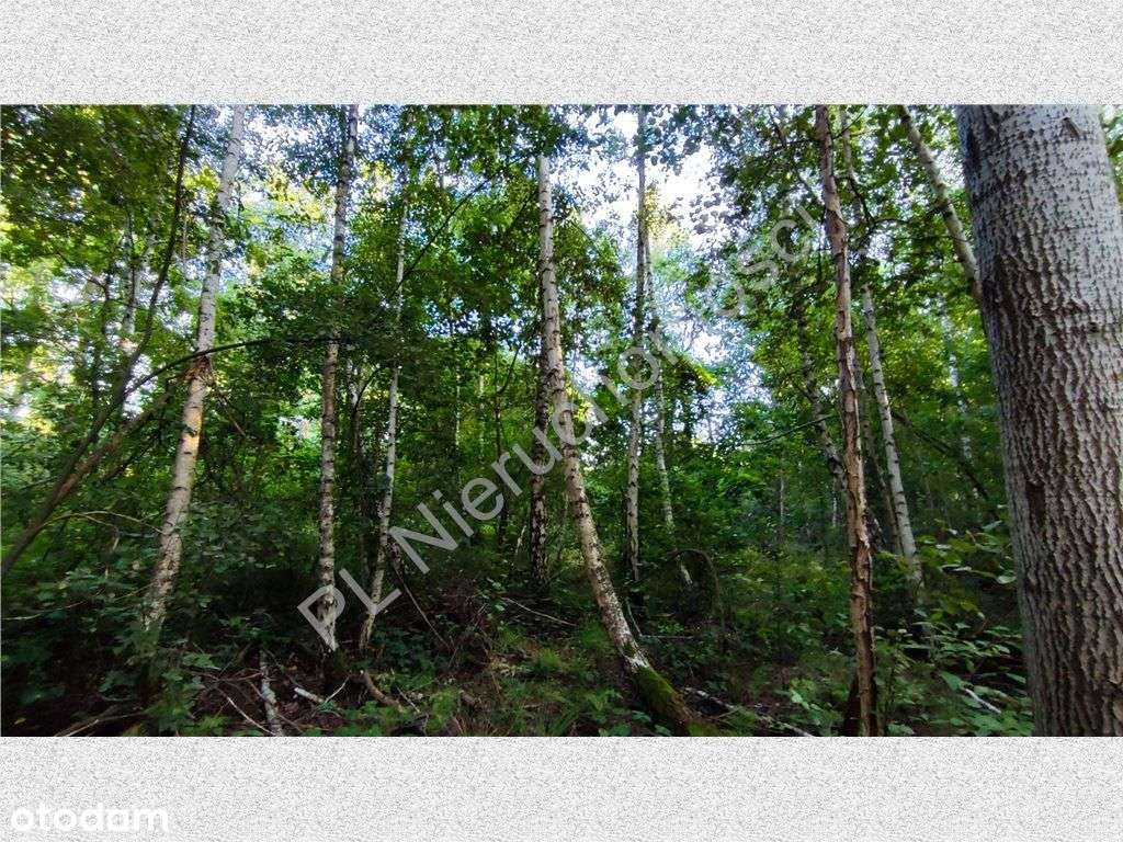 Grunt, który pracuje za Ciebie. - Pełny obrazek: 5/5