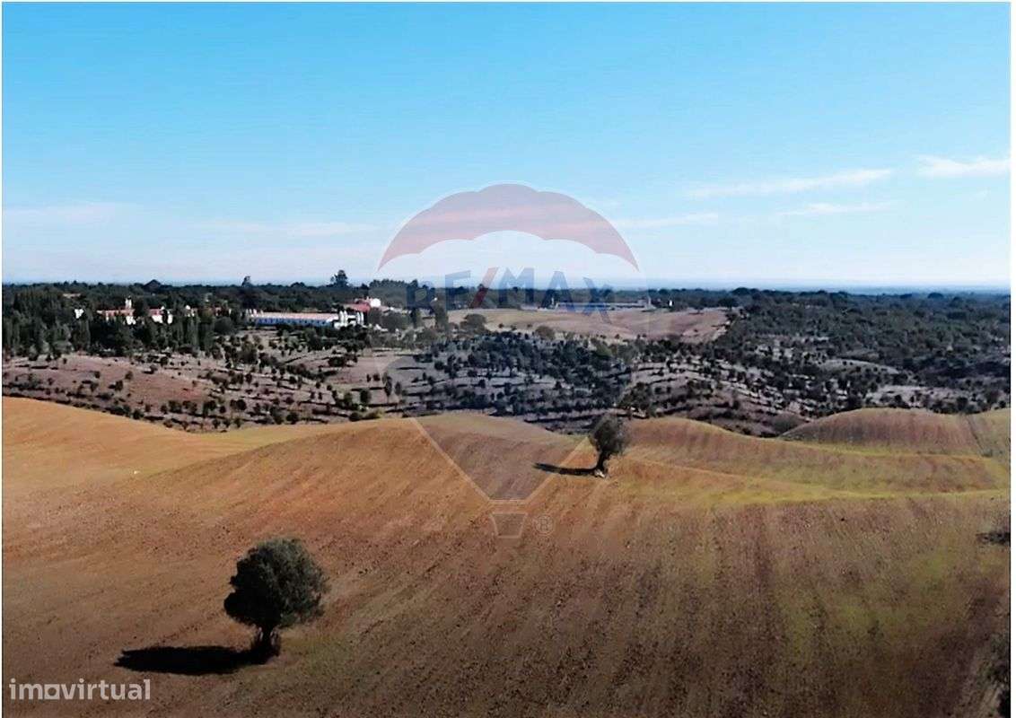 Quinta T3 para venda-8