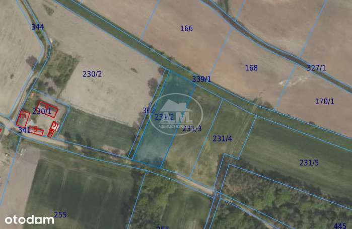 Kędzie – działka przy lesie w Dolinie Baryczy - Pełny obrazek: 5/12