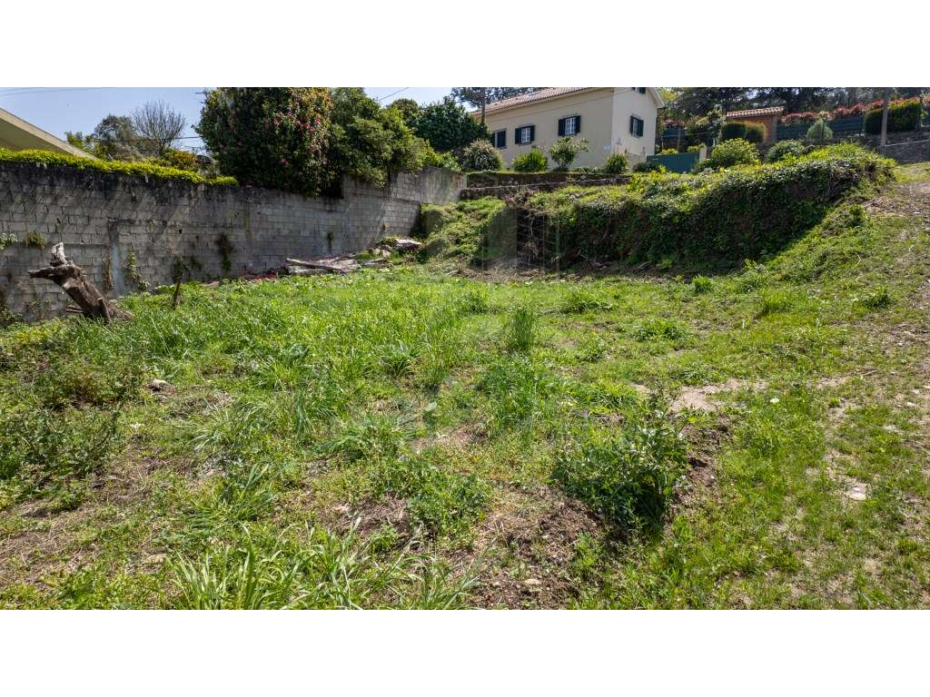 Vilarelho - Terreno com projeto aprovado-7