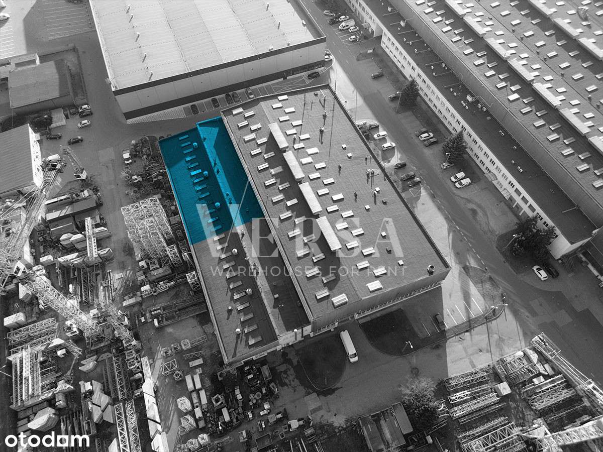Magazyn 691 mkw z biurem - 0% Prowizji - Pełny obrazek: 4/12