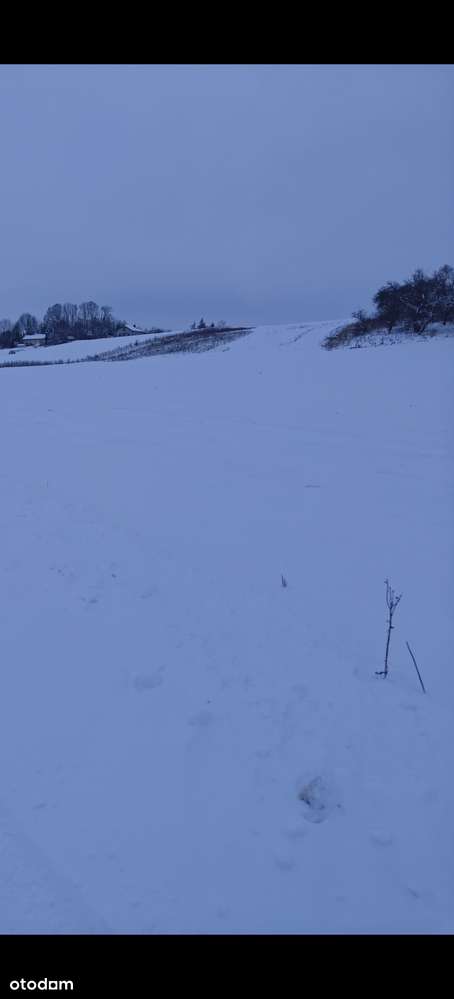 Dom wolnostojący z garażem na działce 30 000m² 3ha-16