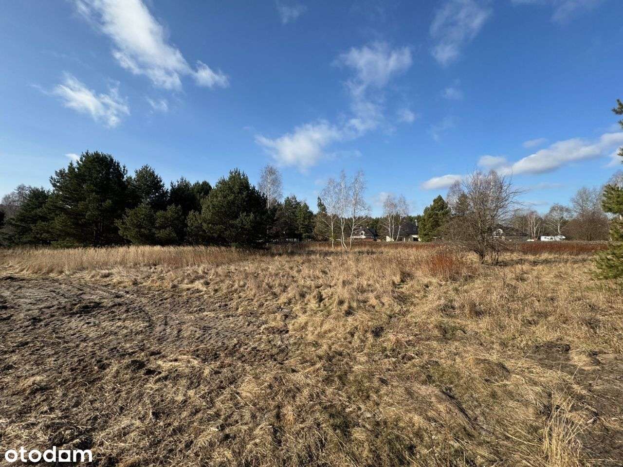 Działka budowlana Kąty, bezpośrednio 900 m2 - Pełny obrazek: 3/6