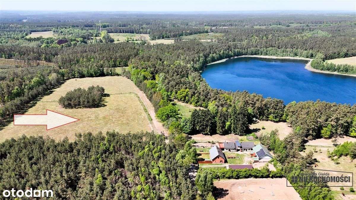 Okole - Grunt siedliskowy w otoczeniu lasu ok. 100 - Pełny obrazek: 4/20