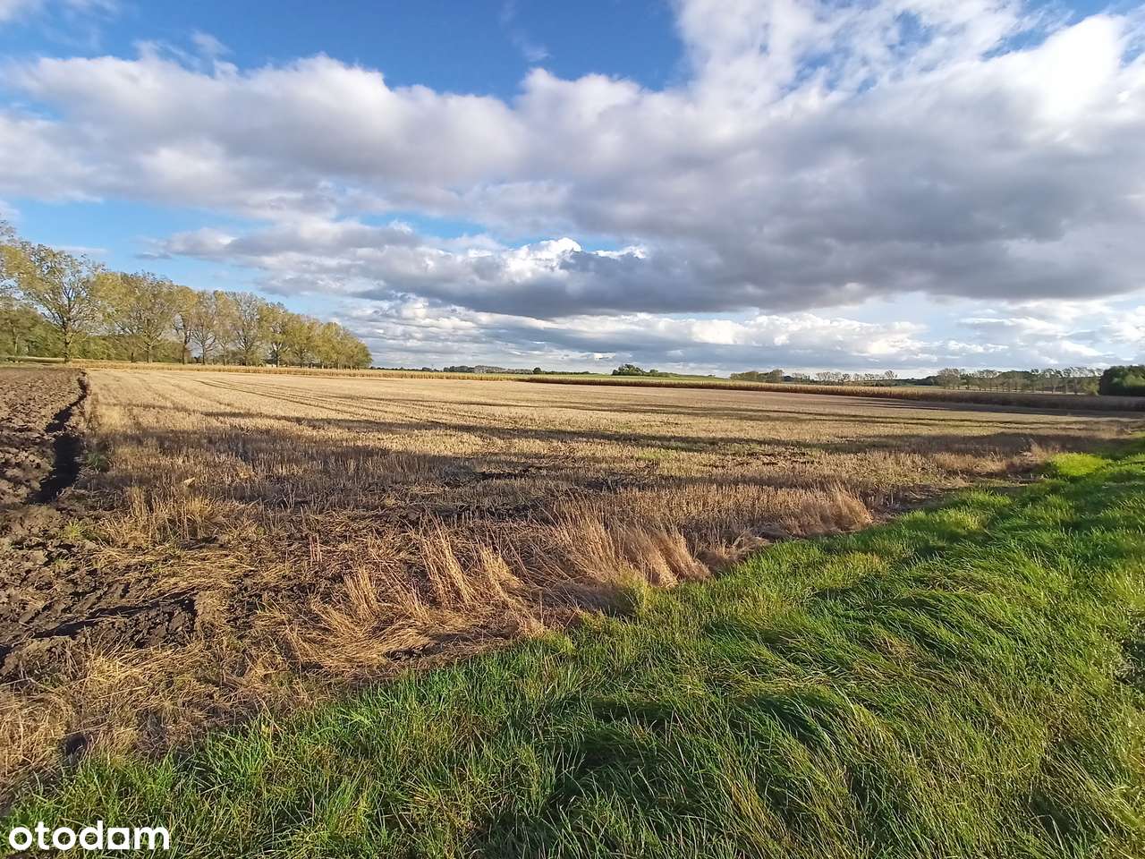 Działka inwestycyjna 1,9 ha z MPZP P/U usługi przemysł produkcja DK39 - Pełny obrazek: 4/8