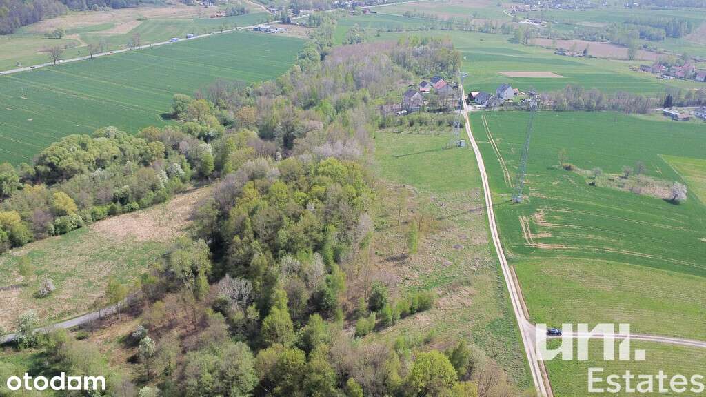 59 a | Działka budowlana | Poręba Spytkowska - Pełny obrazek: 5/13