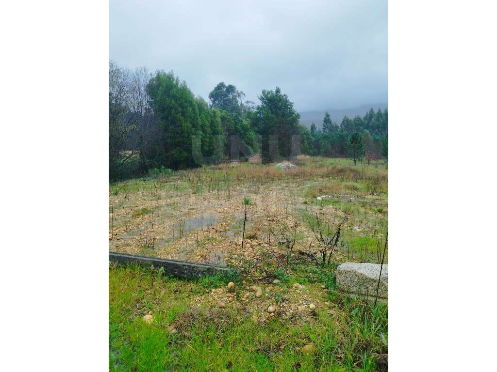 Terreno com projeto do Armazém - Gandra, Valença - Grande imagem: 3/7