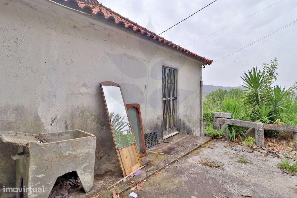 Quintinha em Escudeiros c/ aprox 3.200m2 e duas casas-29