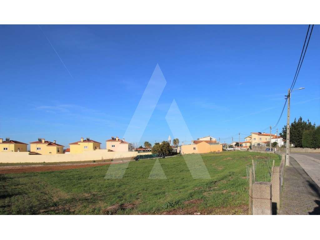 Lote para construção de moradias na Carregosa - Grande imagem: 2/8