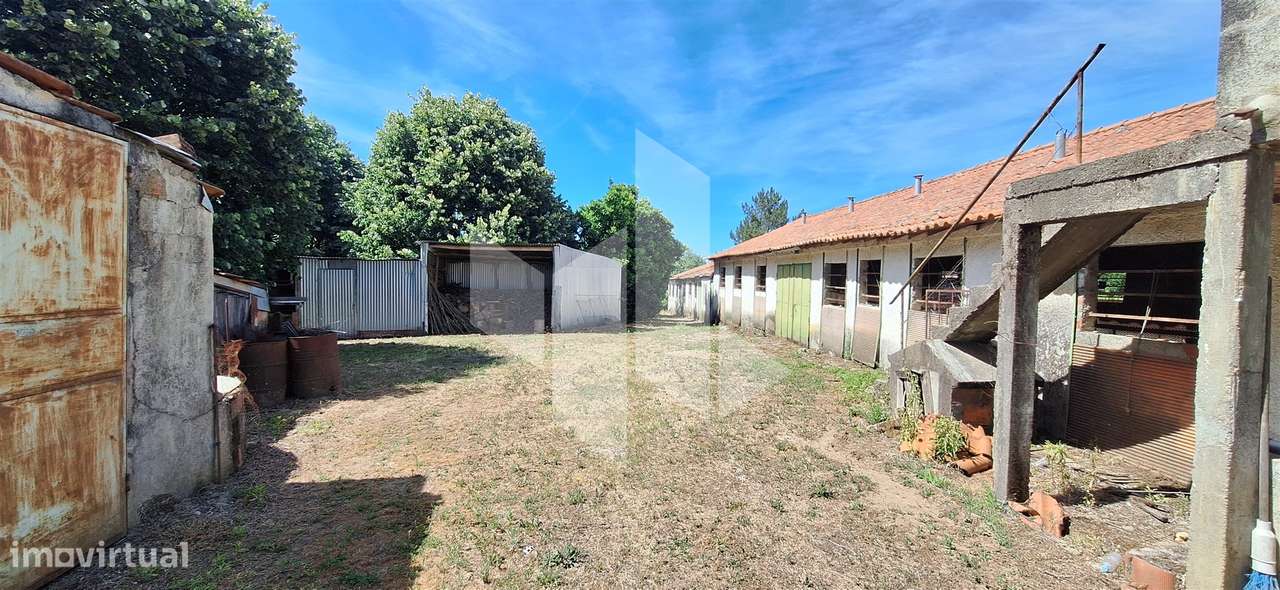 Quintinha  Venda em Lobão da Beira,Tondela-4