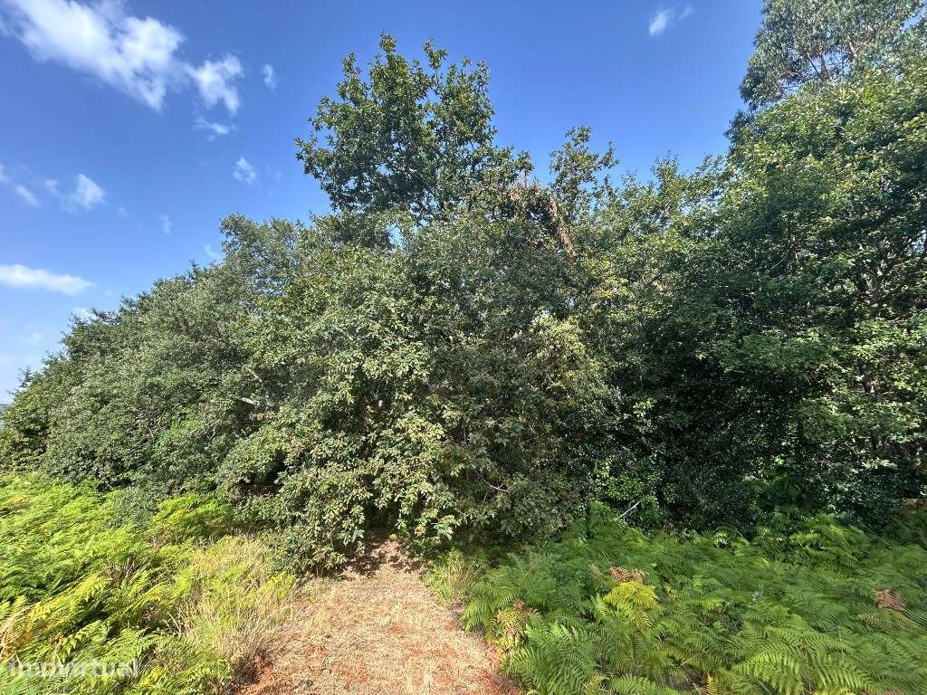 Terreno de construção em Agualonga - Grande imagem: 4/6