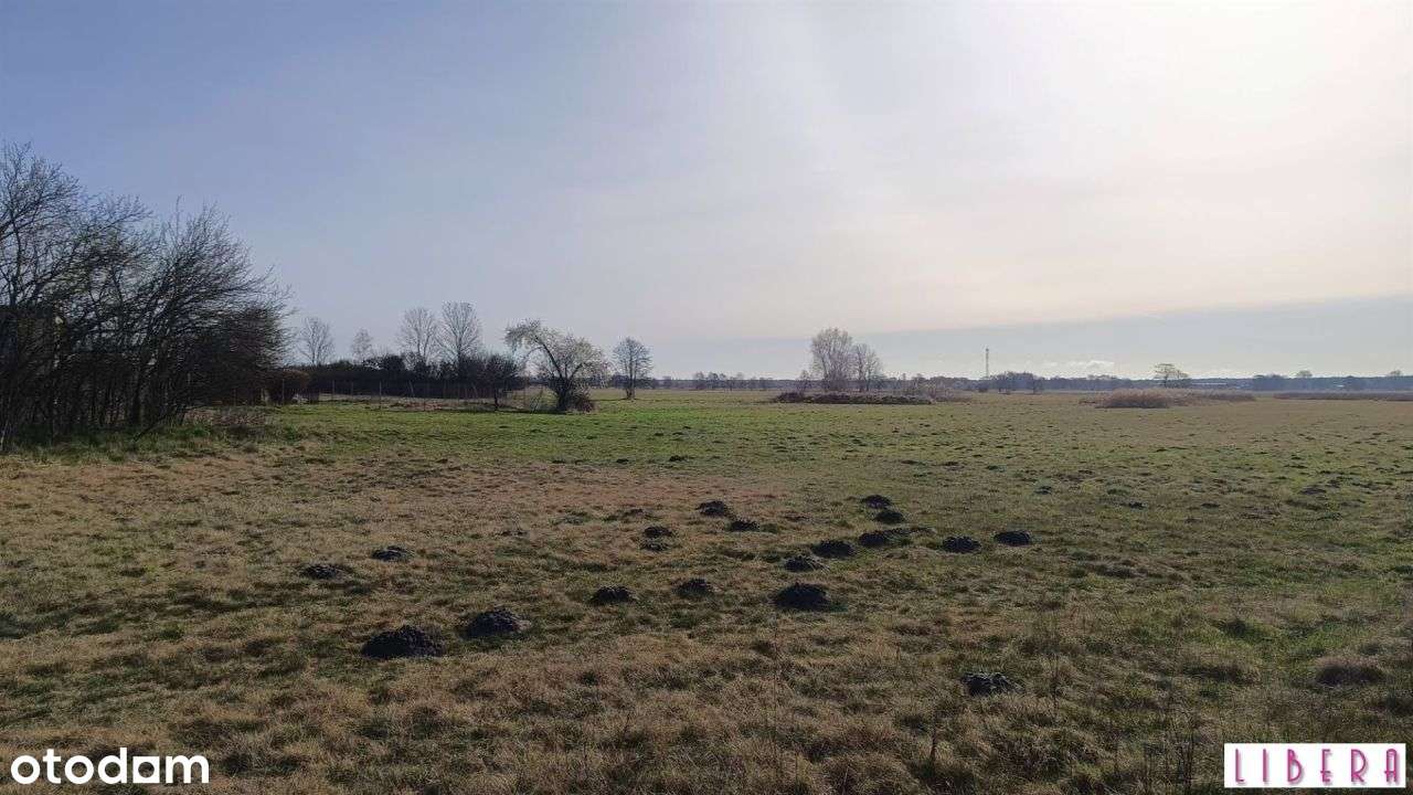 Tylko u nas! Dzialka bydowlana, Januszkowo-9