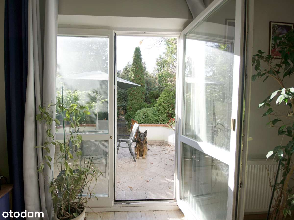 Blisko Zalesia Górnego, okolice Lasu Chojnowskiego-6