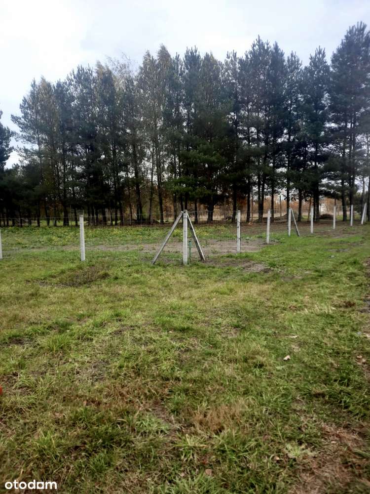 Działka budowlana Wierzbin 1545 m2 gm. Stare Babice-6