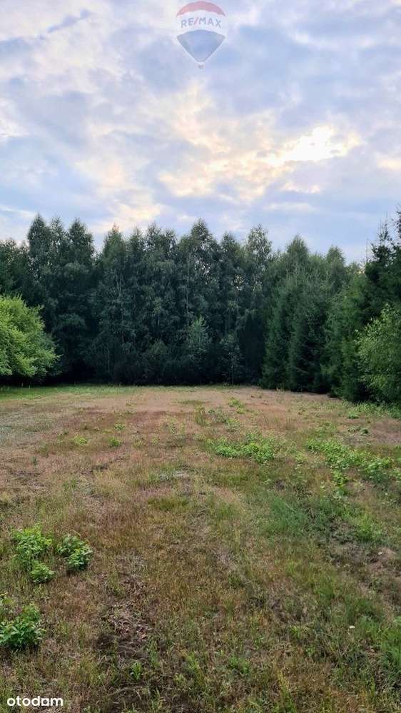 Szybka sprzedaż ponad 1 ha 4 działki łącznie - Pełny obrazek: 4/6
