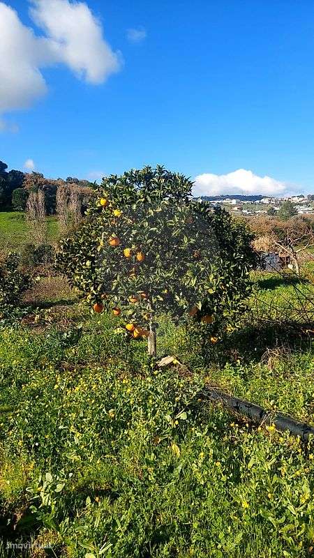 Terreno  para venda-38