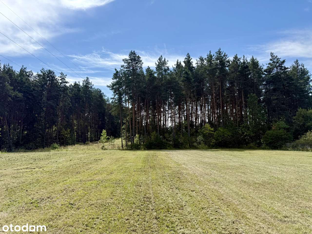 Na sprzedaż: budynek pod działalność gospodarczą – przy trasie S17-18