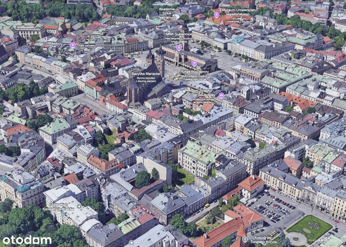 Wynajęty Lokal Usługowy Św. Tomasza | Stare Miasto-14