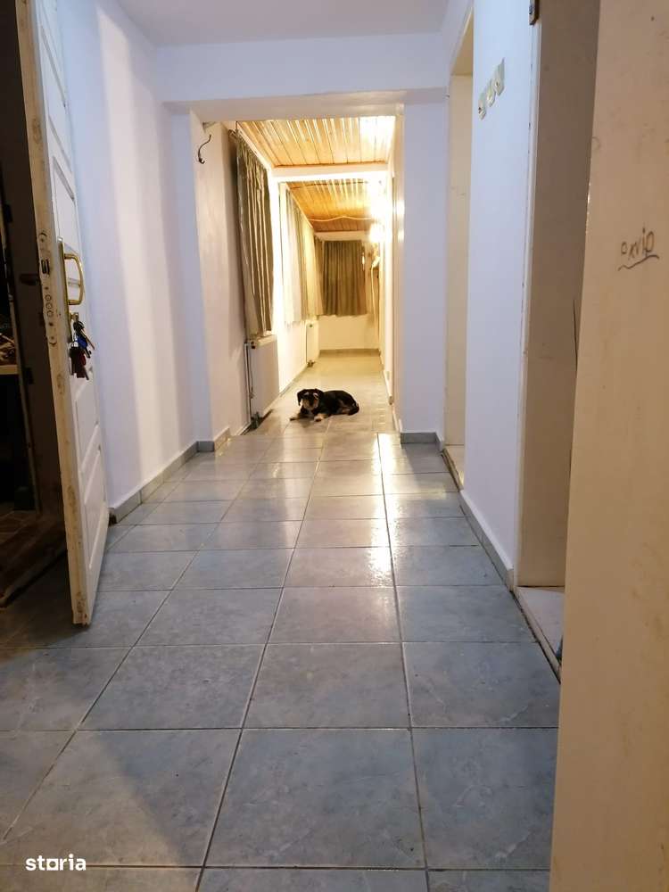 Singureni - Stejaru, casa cu teren 1600mp-15