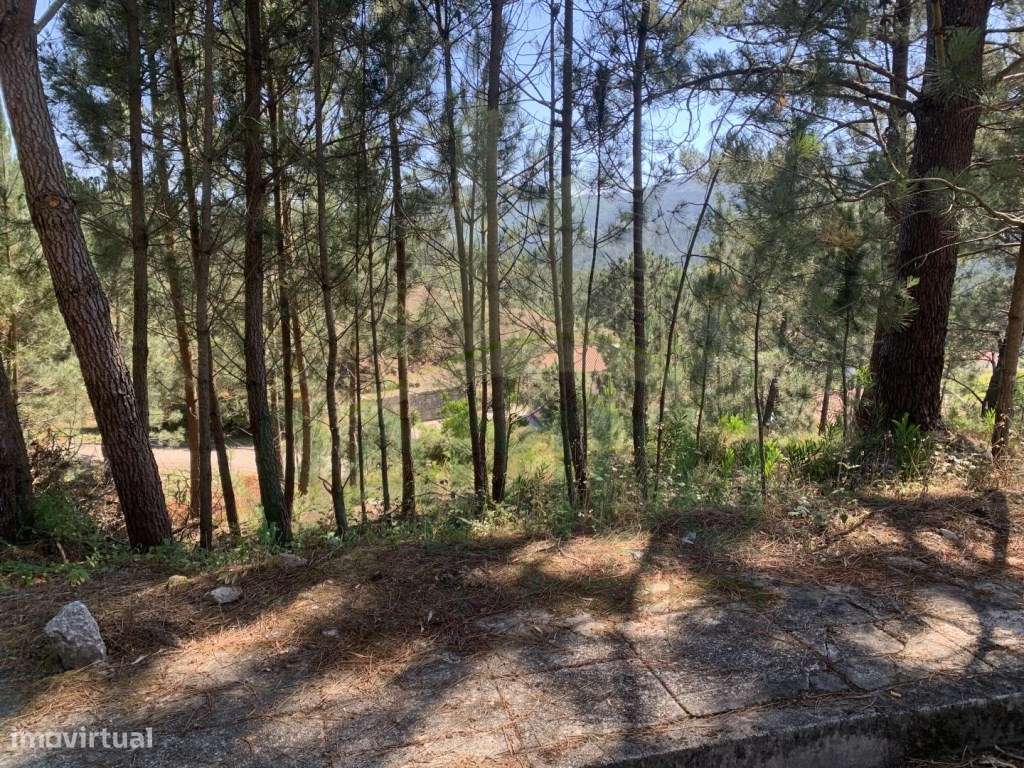 Lote de Terreno para Construção - Grande imagem: 2/10