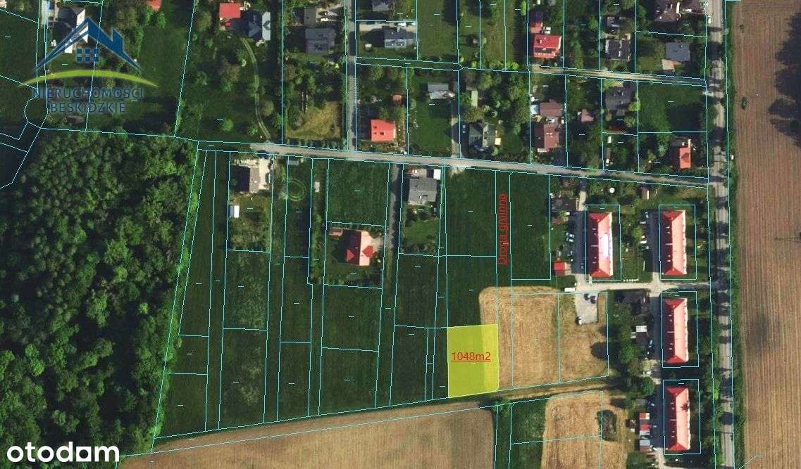 Cisownica k/Ustronia ... a wokół pola i las...-0