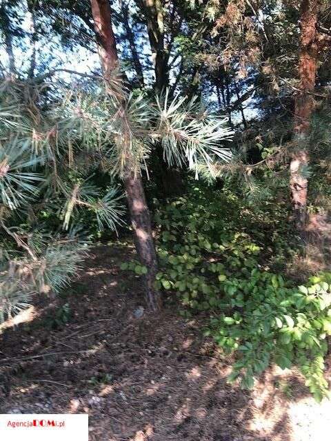 Władysławów(k.Siestrzeni),prąd,gaz,woda,budowlana,-12