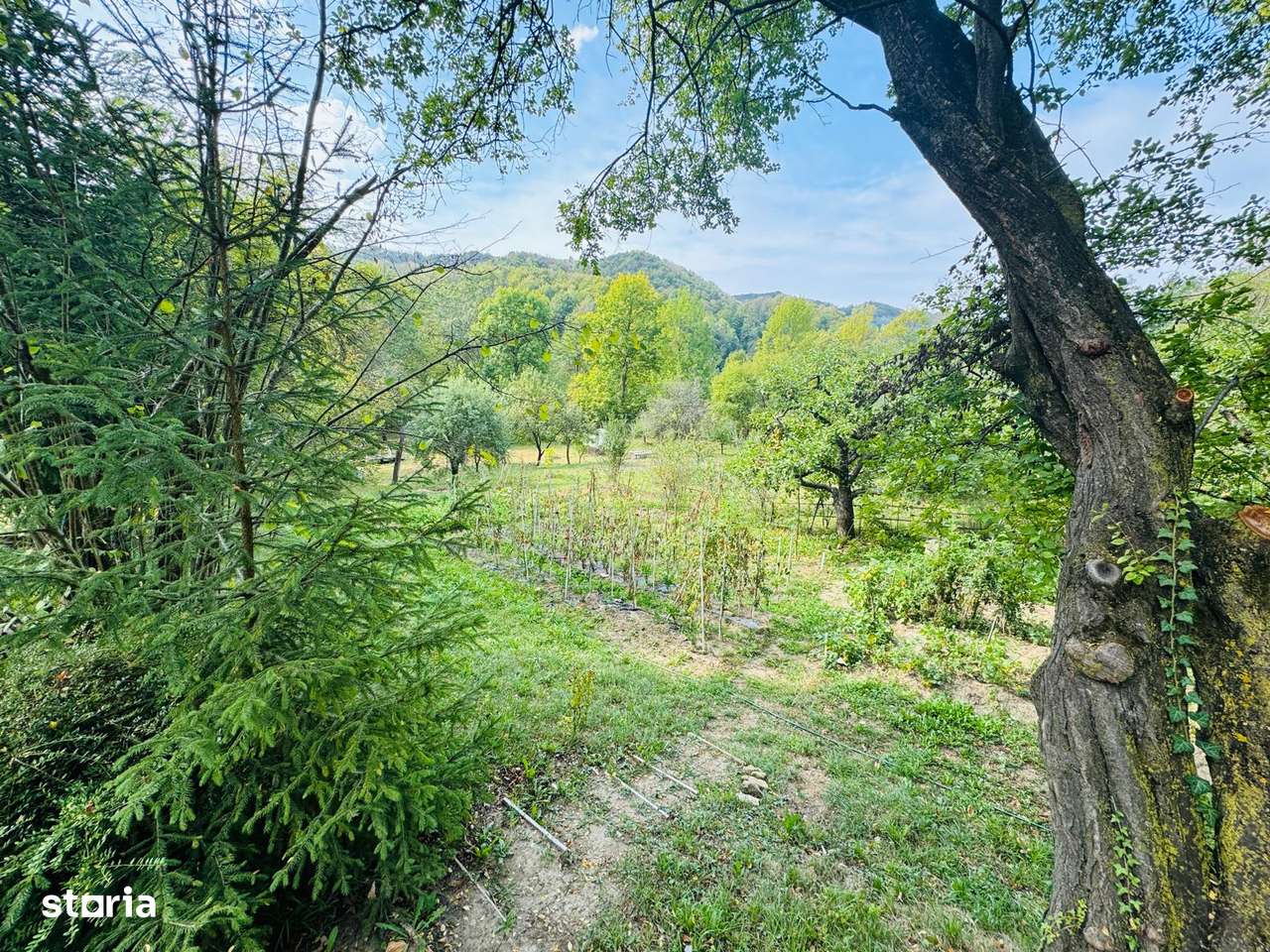 Casa (vila) de vanzare com. Varfuri|Suvita jud Dambovita teren 6000 mp-16