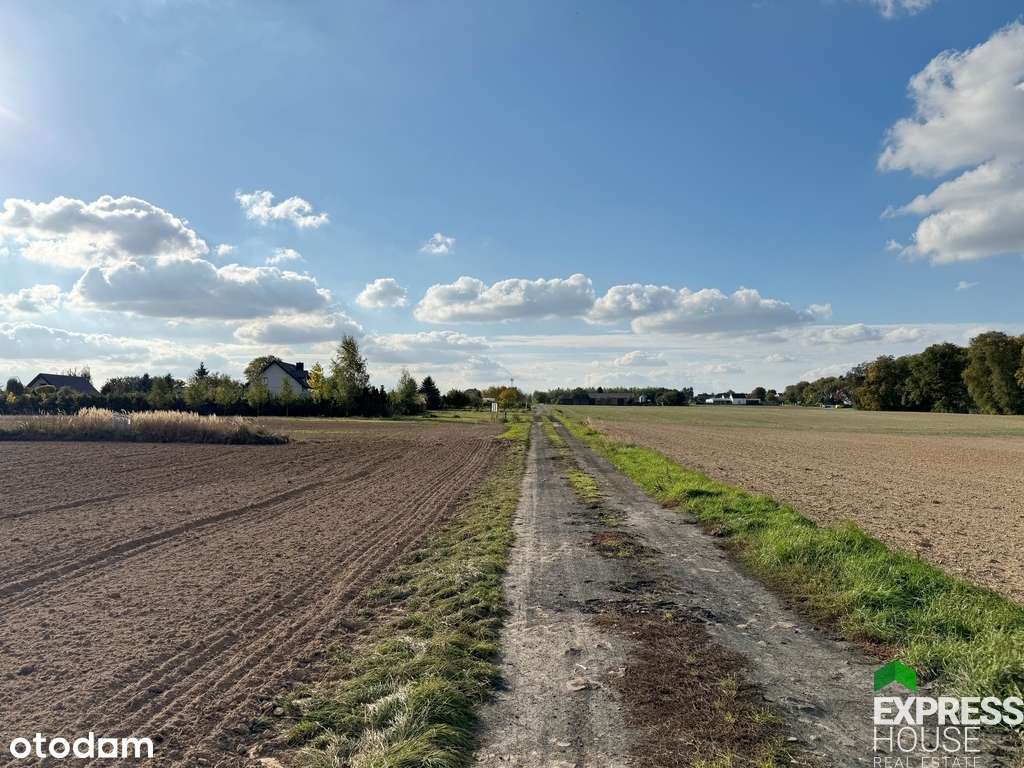 Piękna działka nieopodal wąwozu lessowego - Pełny obrazek: 5/15