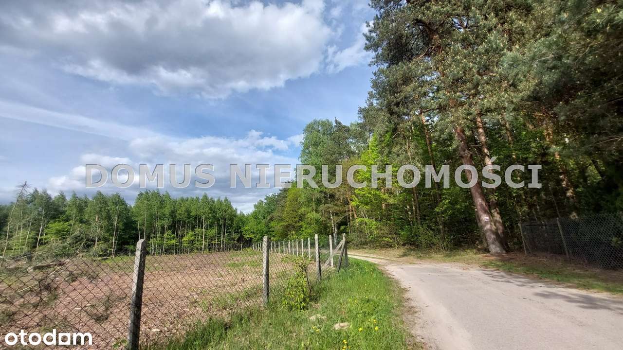 Działka - Rosanów - Pełny obrazek: 4/9