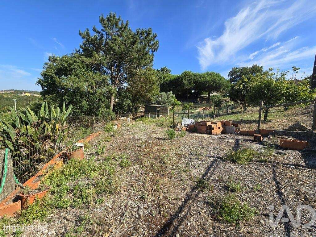 Terreno em Ericeira de 3036,00 m2 - Grande imagem: 4/19