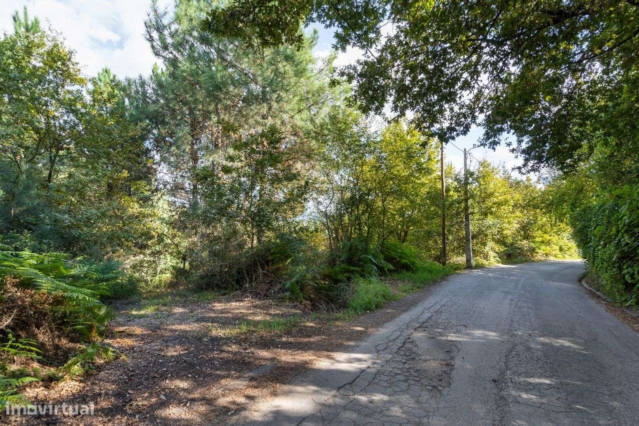 Moradia para restauro em quinta com 1.35Ha - Borbelinha, Adoufe-22