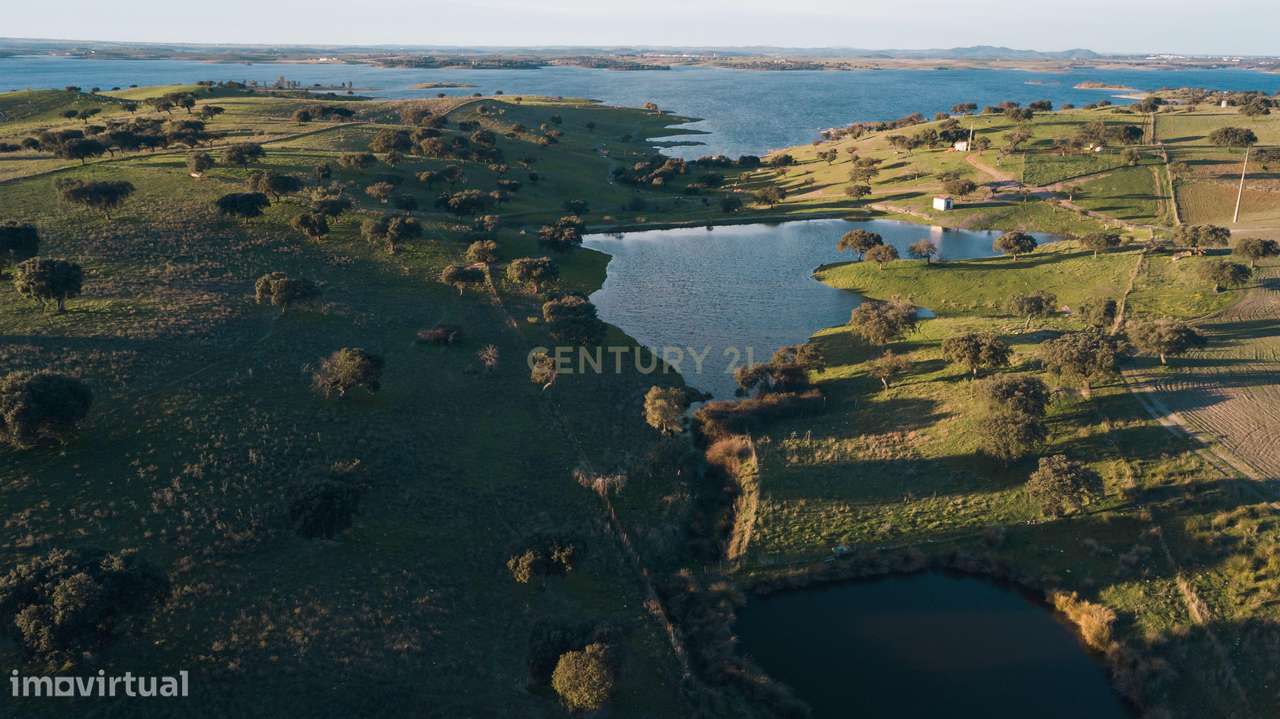 Herdade dos Castelhanos -  190 Hectares, Moura, Alentejo-7
