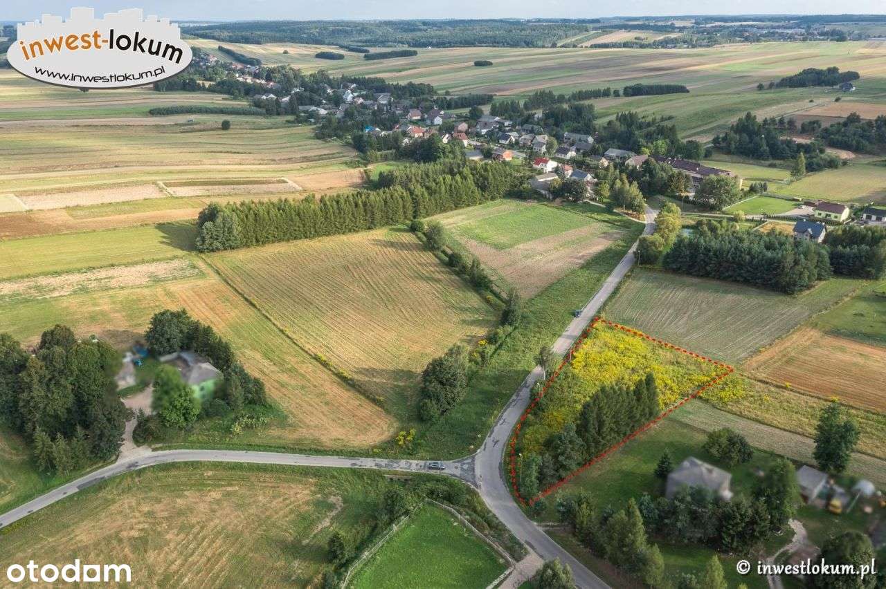 Działka, 3 545 m², Sucha - Pełny obrazek: 4/7