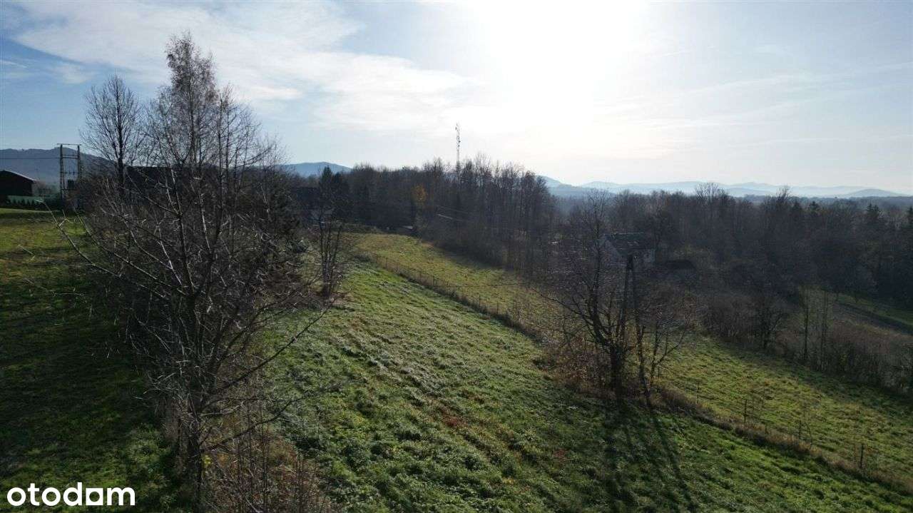 Cicha i spokojna okolica z dużą działką! - Pełny obrazek: 5/7