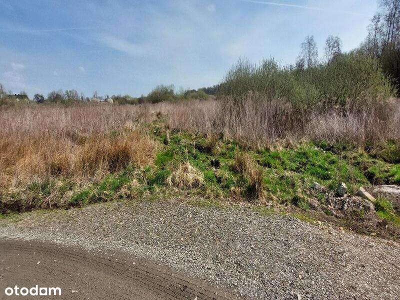 Udział wynoszący 1/2 w prawie własności nieruchomości - Pełny obrazek: 3/7