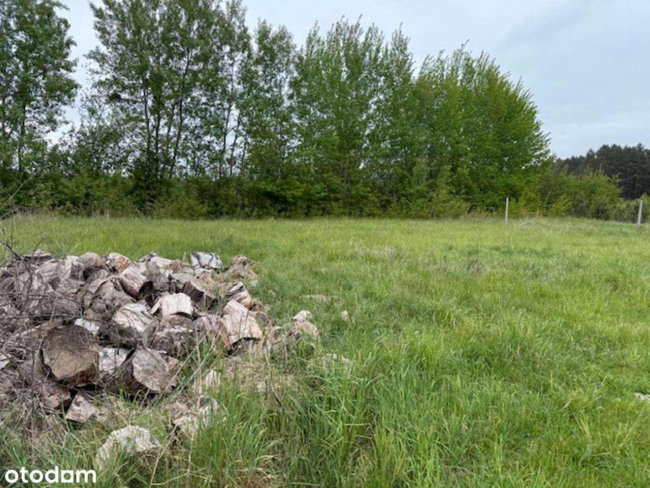 Syndyk masy upadłości sprzeda działki rolne - Pełny obrazek: 5/13