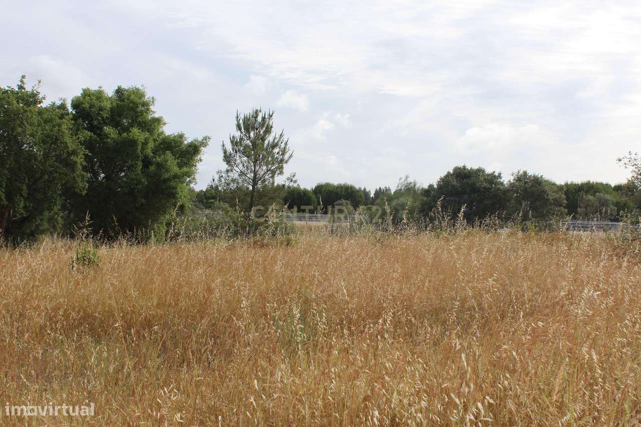 Terreno em Pegões Velhos com 16901 m2 - Grande imagem: 4/22