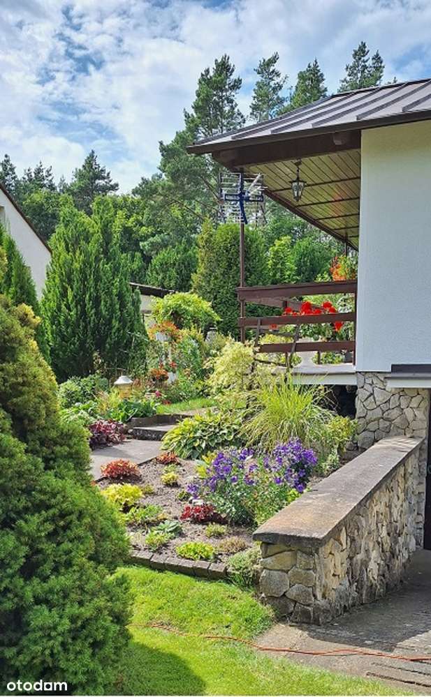 Piękna działka ROD nad jeziorem w Wierzchucinku. - Pełny obrazek: 4/20