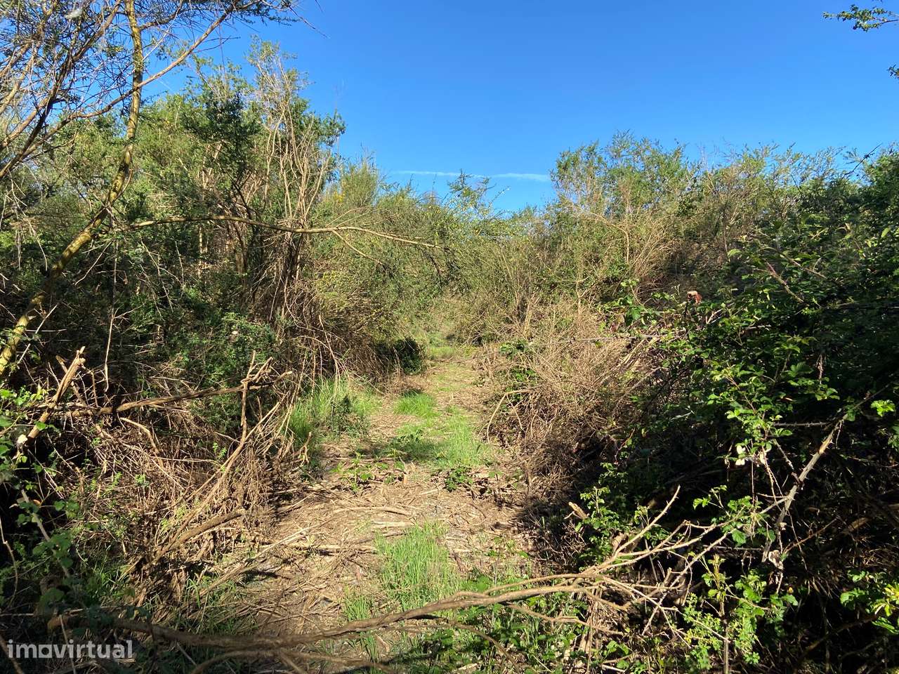 Terreno, Viseu, Tondela, Tonda-5