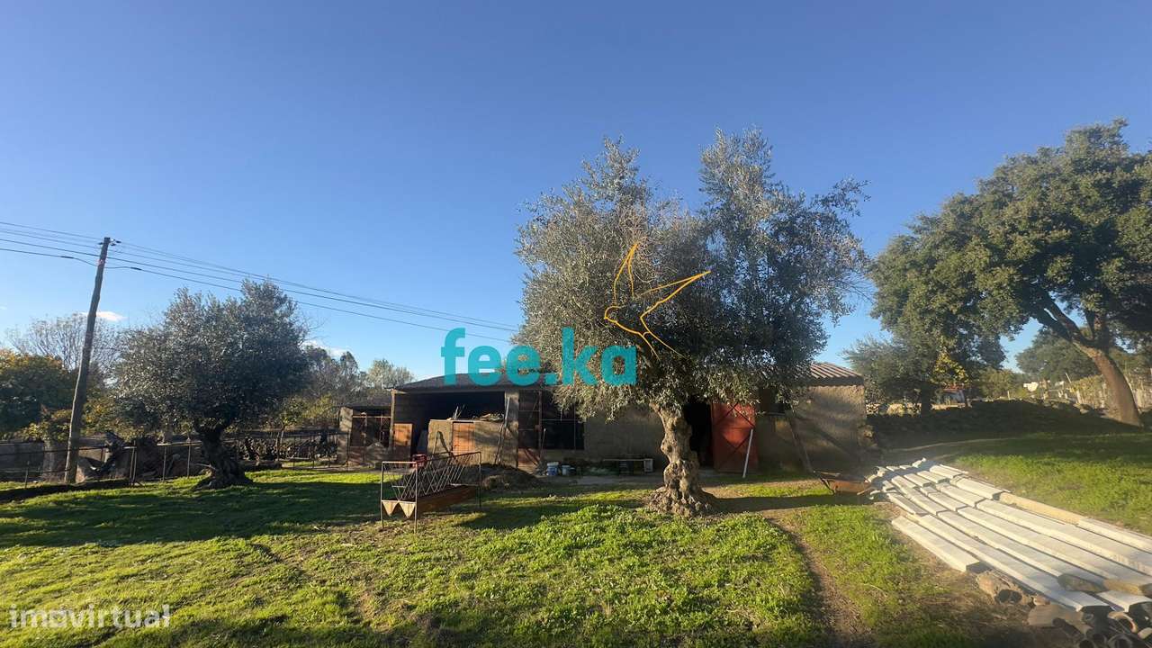 Quinta em Escalos de Baixo-25