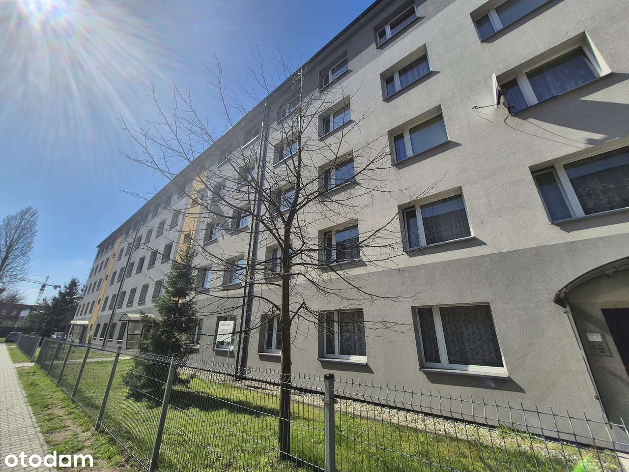 3 pokoje Katowice - super lokalizacja - wolne od zaraz!-5