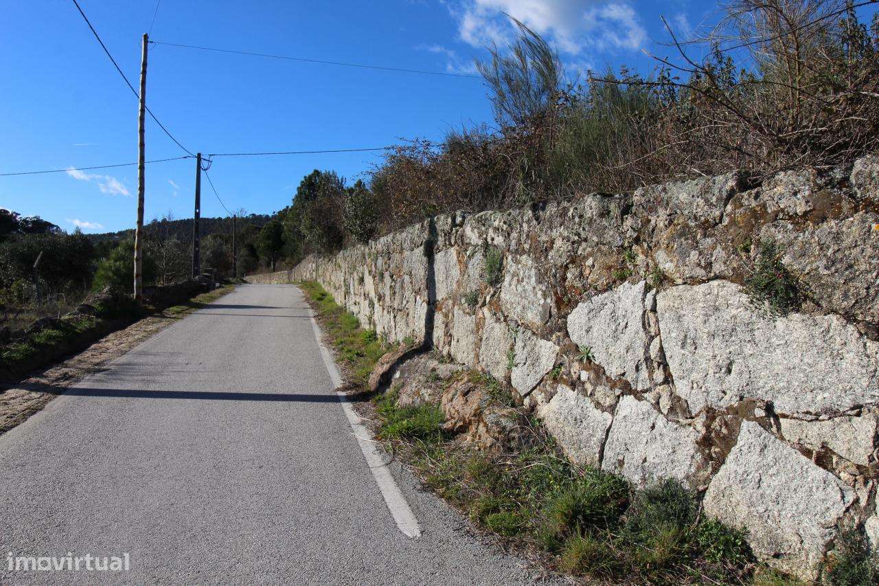 Magnífica Quinta com 11ha - Fornos de Algodres - Grande imagem: 3/11