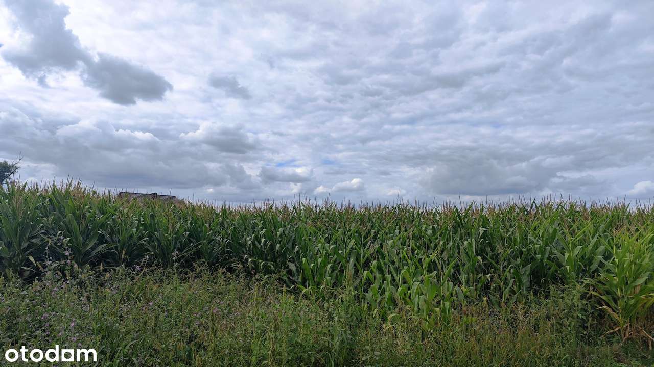Twój nowy dom - 5 pokoi- pompa ciepła Gniechowice - Pełny obrazek: 4/20