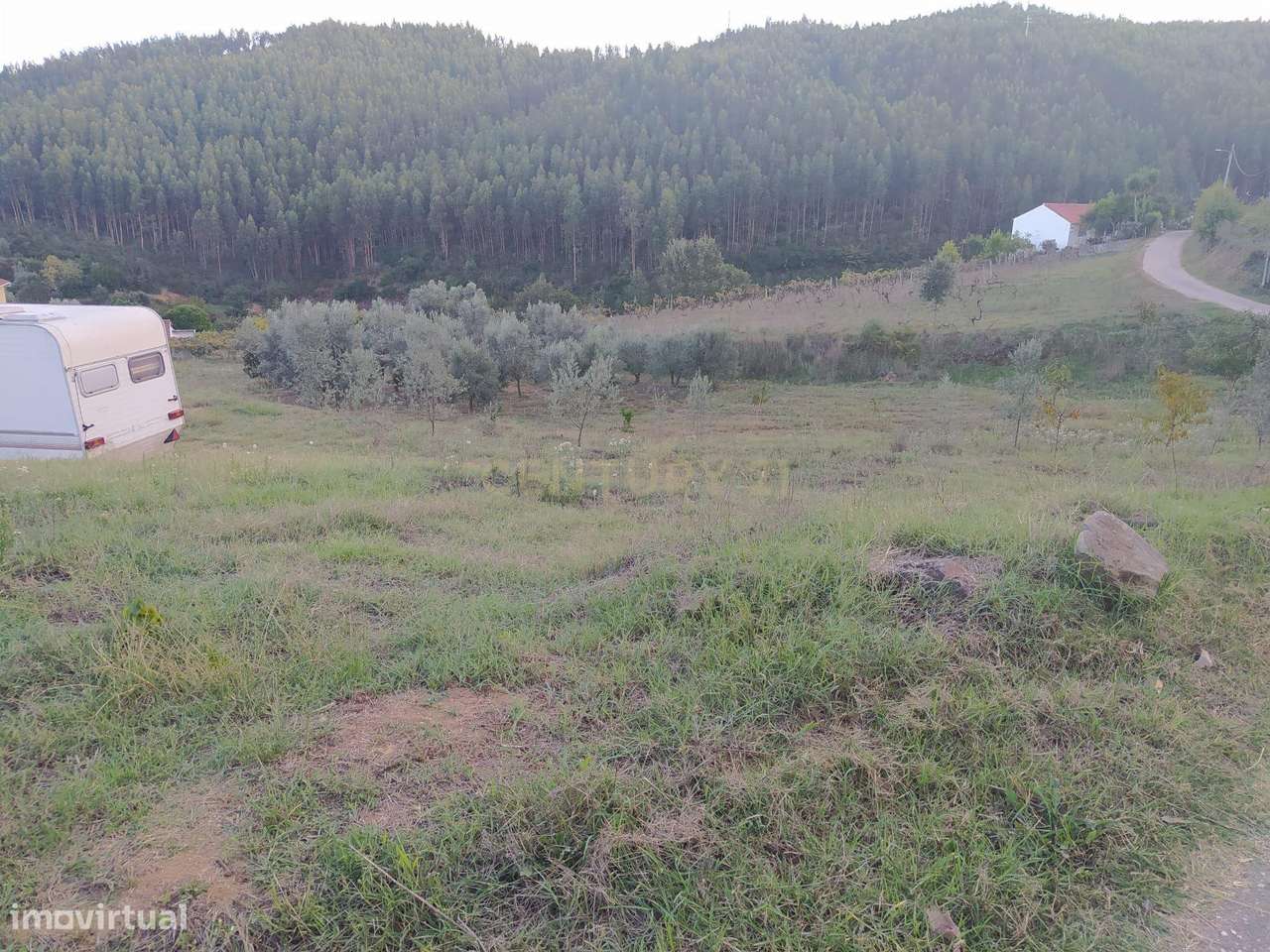 Terreno de 1 HECTARE - Ferreira do Zezere - Grande imagem: 3/6