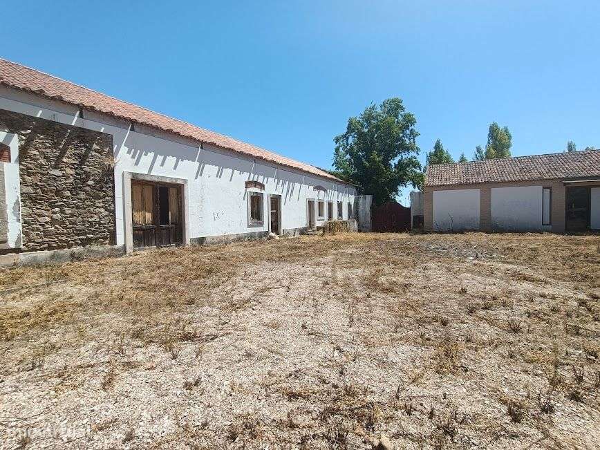 Quintinha em plena lezíria ribatejana, ideal para projeto turístico! - Grande imagem: 4/36