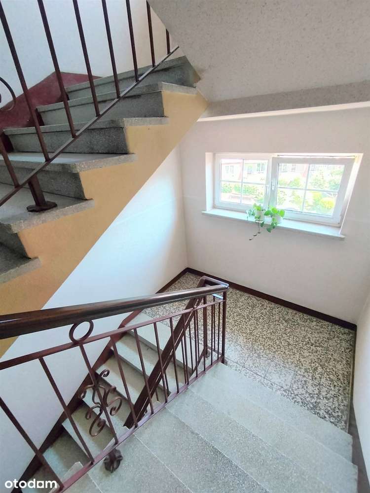 Oferta Warta Zainteresowania. - Pełny obrazek: 2/14