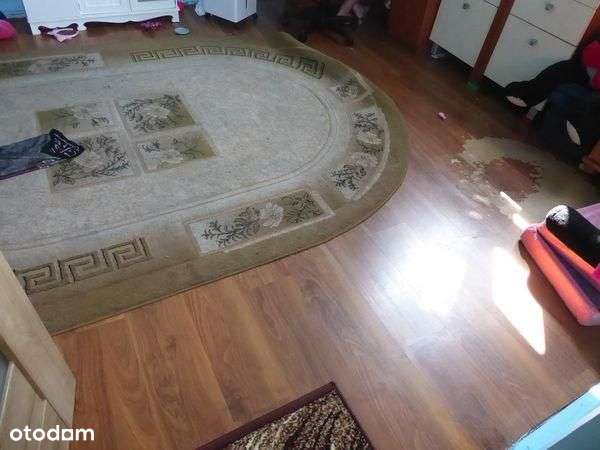 Lokal użytkowy, 352,57 m², Radom-10